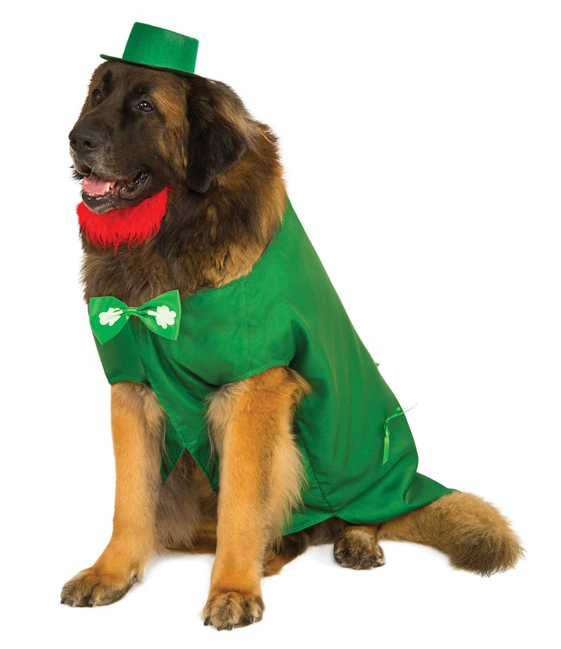 Leprechaun Big Dog Boutique Costume, XXX-Large